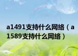 a1491支持什么網(wǎng)絡(luò)（a1589支持什么網(wǎng)絡(luò)）