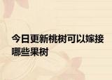 今日更新桃樹可以嫁接哪些果樹