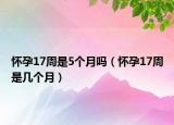 懷孕17周是5個(gè)月嗎（懷孕17周是幾個(gè)月）