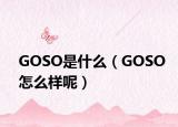 GOSO是什么（GOSO怎么樣呢）