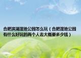 合肥濱湖濕地公園怎么玩（合肥濕地公園有什么好玩的兩個人去大概要多少錢）