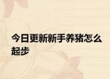 今日更新新手養(yǎng)豬怎么起步