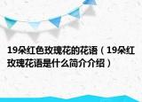 19朵紅色玫瑰花的花語（19朵紅玫瑰花語是什么簡介介紹）