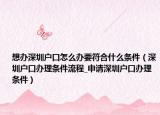 想辦深圳戶口怎么辦要符合什么條件（深圳戶口辦理條件流程_申請深圳戶口辦理條件）