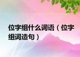 位字組什么詞語（位字組詞造句）