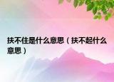 扶不住是什么意思（扶不起什么意思）