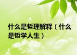 什么是哲理解釋（什么是哲學(xué)人生）
