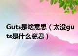 Guts是啥意思（太沒guts是什么意思）