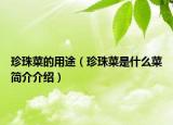 珍珠菜的用途（珍珠菜是什么菜簡介介紹）