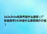 1a2a2b3a在高考是什么意思（廣東省高考2A2B是什么意思簡(jiǎn)介介紹）