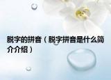 脫字的拼音（脫字拼音是什么簡(jiǎn)介介紹）
