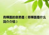 青稞面的意思是（青稞面是什么簡介介紹）