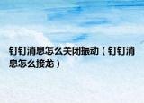 釘釘消息怎么關(guān)閉振動（釘釘消息怎么接龍）