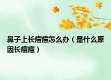 鼻子上長(zhǎng)痘痘怎么辦（是什么原因長(zhǎng)痘痘）