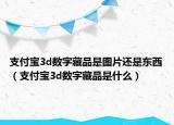支付寶3d數(shù)字藏品是圖片還是東西（支付寶3d數(shù)字藏品是什么）
