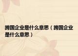 跨國企業(yè)是什么意思（跨國企業(yè)是什么意思）