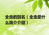 全蟲(chóng)的別名（全蟲(chóng)是什么簡(jiǎn)介介紹）