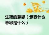 生寂的意思（示寂什么意思是什么）