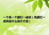 一個(gè)鳳一個(gè)麟打一成語（鳳麟打一成語是什么簡介介紹）