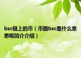 bsc鏈上的幣（幣圈bsc是什么意思呢簡介介紹）