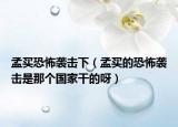 孟買恐怖襲擊下（孟買的恐怖襲擊是那個國家干的呀）