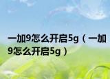 一加9怎么開啟5g（一加9怎么開啟5g）