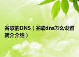 谷歌的DNS（谷歌dns怎么設(shè)置簡介介紹）