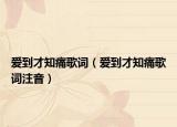 愛到才知痛歌詞（愛到才知痛歌詞注音）