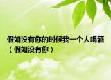 假如沒(méi)有你的時(shí)候我一個(gè)人喝酒（假如沒(méi)有你）