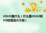 H1H3是什么（什么是H1H2和H3標簽簡介介紹）