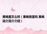 果蠅是怎么樣（果蠅有害嗎 果蠅簡介簡介介紹）