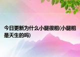 今日更新為什么小腿很粗(小腿粗是天生的嗎)