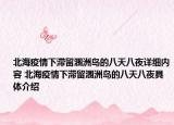 北海疫情下滯留潿洲島的八天八夜詳細內(nèi)容 北海疫情下滯留潿洲島的八天八夜具體介紹