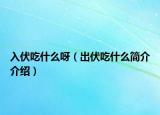 入伏吃什么呀（出伏吃什么簡(jiǎn)介介紹）