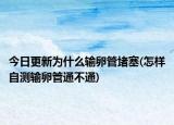 今日更新為什么輸卵管堵塞(怎樣自測(cè)輸卵管通不通)