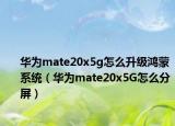 華為mate20x5g怎么升級鴻蒙系統(tǒng)（華為mate20x5G怎么分屏）