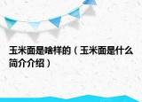 玉米面是啥樣的（玉米面是什么簡(jiǎn)介介紹）