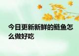 今日更新新鮮的鰱魚怎么做好吃