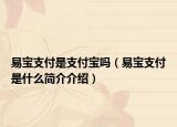 易寶支付是支付寶嗎（易寶支付是什么簡介介紹）