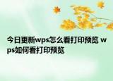 今日更新wps怎么看打印預覽 wps如何看打印預覽