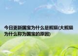 今日更新國寶為什么是熊貓(大熊貓為什么稱為國寶的原因)