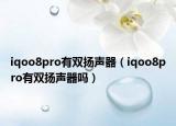 iqoo8pro有雙揚(yáng)聲器（iqoo8pro有雙揚(yáng)聲器嗎）