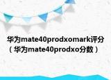 華為mate40prodxomark評分（華為mate40prodxo分數(shù)）
