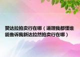 贊達(dá)拉拍賣行在哪（道理我都懂誰能告訴我新達(dá)拉然拍賣行在哪）