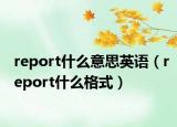 report什么意思英語（report什么格式）