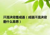 汗流浹背是成語(yǔ)（成語(yǔ)汗流浹背是什么意思）