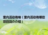 室內活動有啥（室內活動有哪些項目簡介介紹）