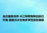 當日最新消息 長江特有物種白鱘已滅絕 拯救淡水生物多樣性迫在眉睫