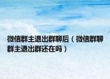 微信群主退出群聊后（微信群聊群主退出群還在嗎）