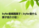 byfar是哪國牌子（byfar是什么牌子簡介介紹）